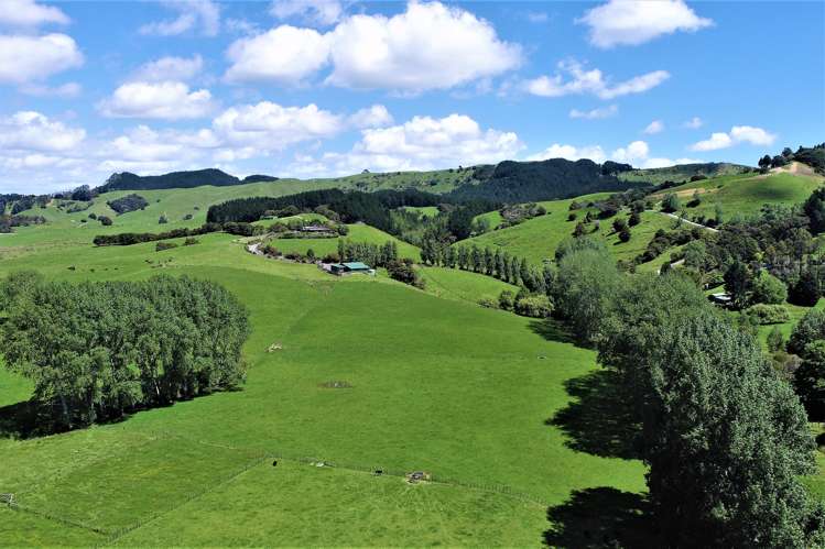 101 Guy Road Kaipara Flats_3