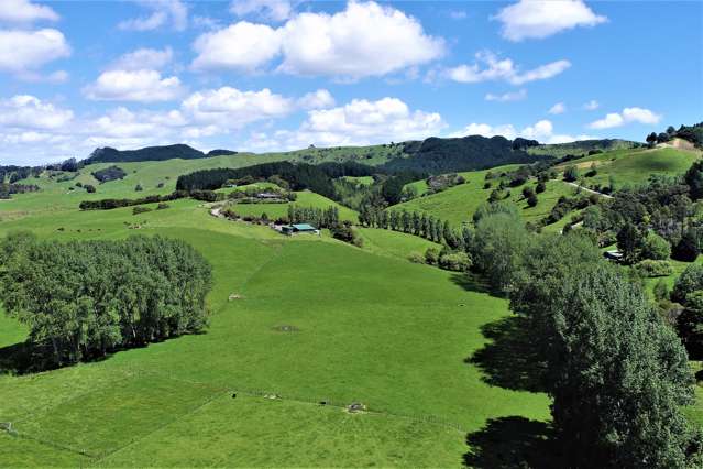 101 Guy Road Kaipara Flats_3