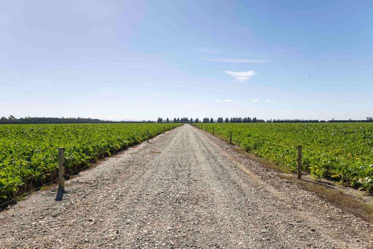 1329 Wards Road Darfield_19