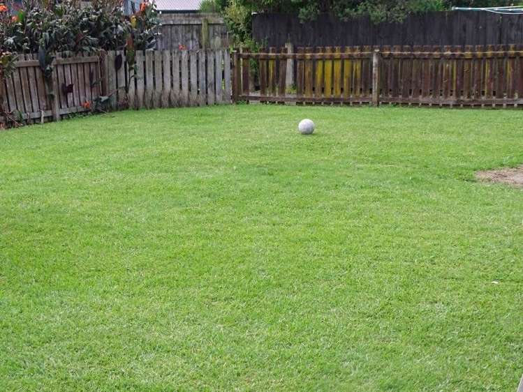 11 Shoalhaven Street Paeroa_8