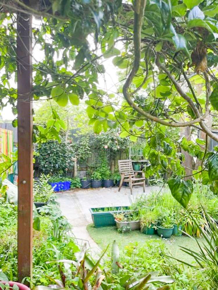 4 Kaka Street Piopio_14