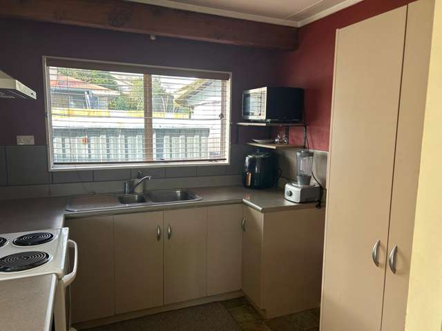 52A Elizabeth Street Tauhara_1