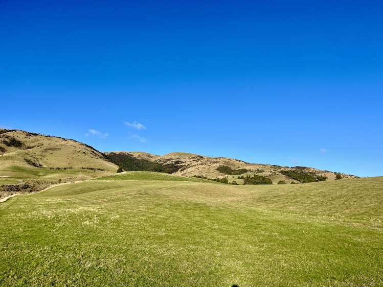 Dalvey School Road, East Blue Mountains_16
