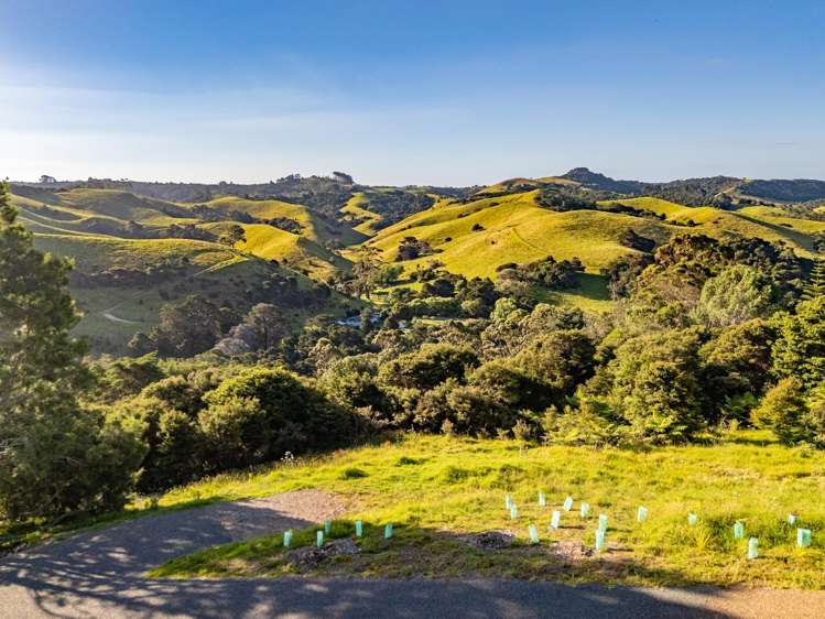 79-85 Awaawaroa Road Waiheke Island_15