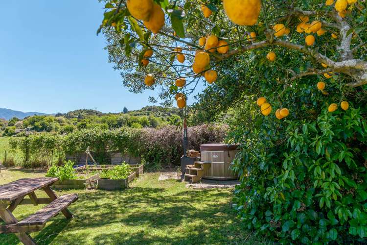 99 Abel Tasman Drive Takaka_12