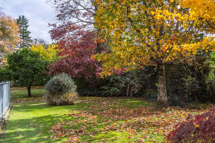 55 College Street Masterton_16