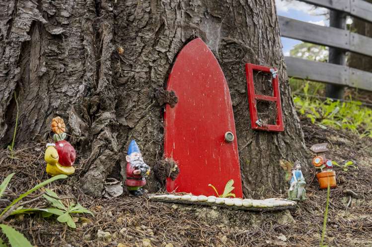 200 Birdwood Road Massey_30