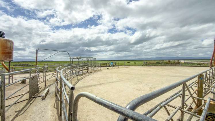 156 Front Miranda Road Waitakaruru_9