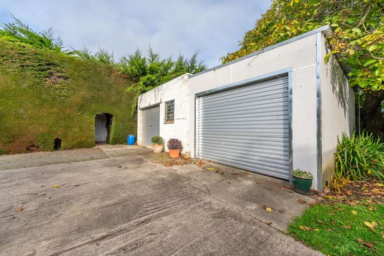 65 Springfield Road Totara_17