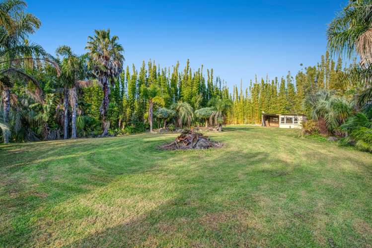 257 Pine Valley Road Dairy Flat_12