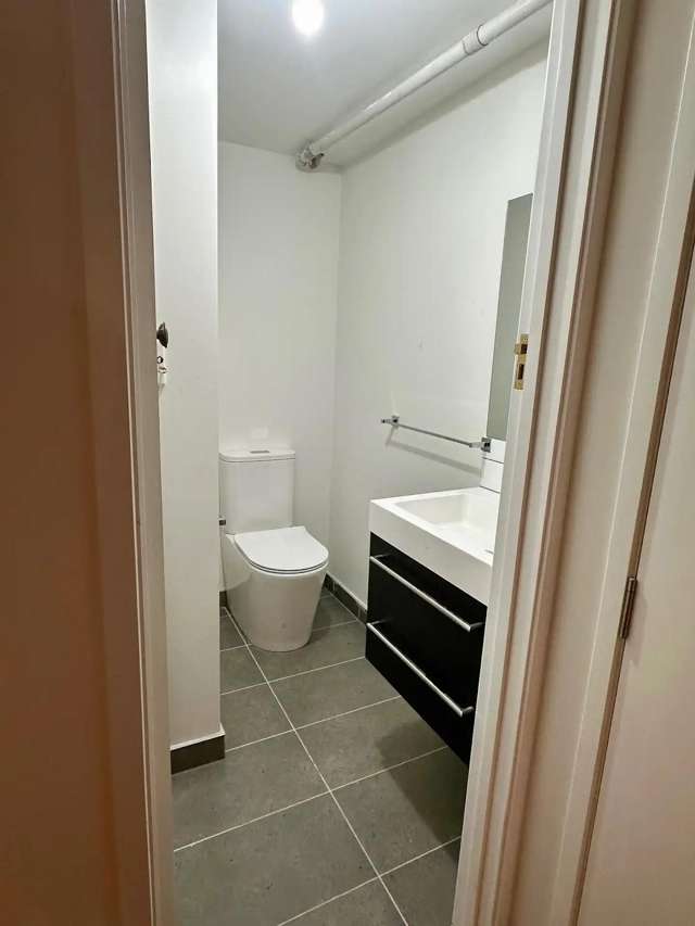 315 Dominion Road Mount Eden_3