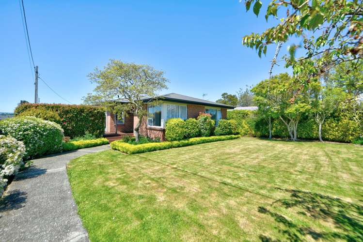 169 Broughton Street Gore_18