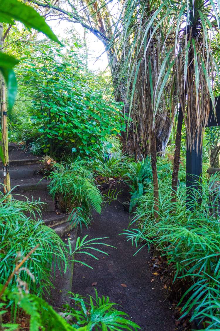 11a Randall Place Hospital Hill_5