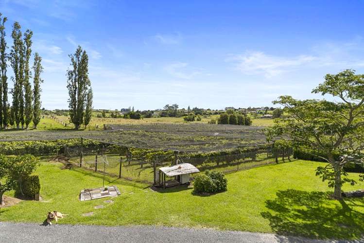 126 Travers Road Te Kauwhata_23