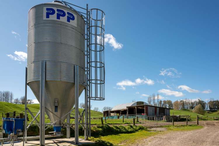 145 Totara Road Ngakuru_10