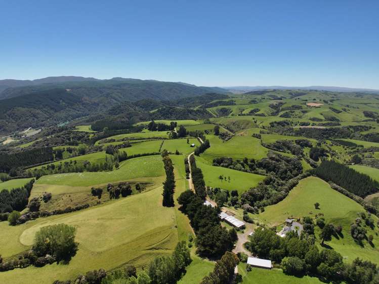 202 Kononi Road Tuapeka West_23