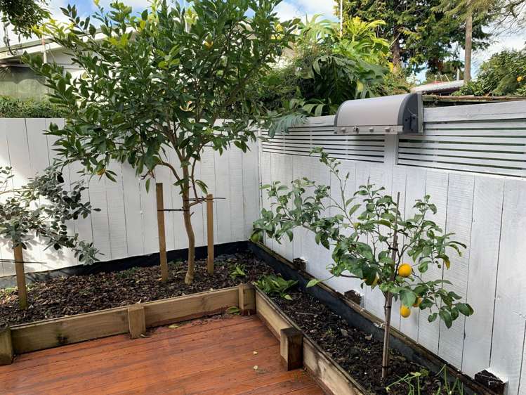 4/8 Soljak Place Mount Albert_8