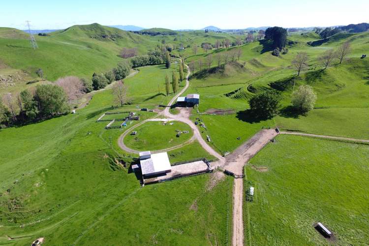 161 Veale Road Otorohanga_10