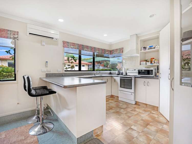 50 Highfields Drive Katikati_1