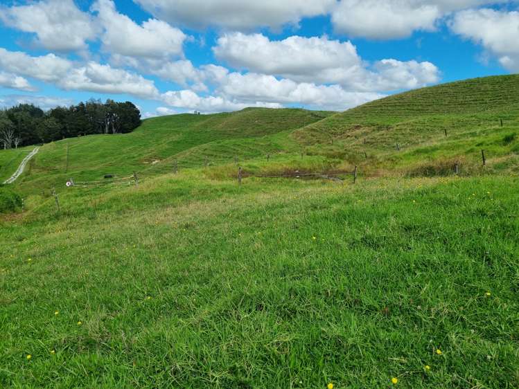 95 Ariels Lane Paparoa_5