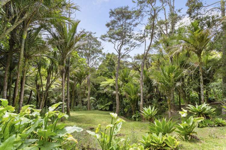 50 Tanekaha Road Titirangi_22