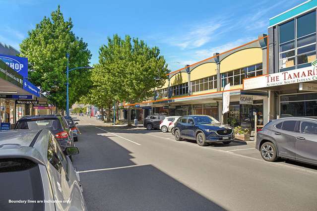 22 Scott Street Blenheim_4