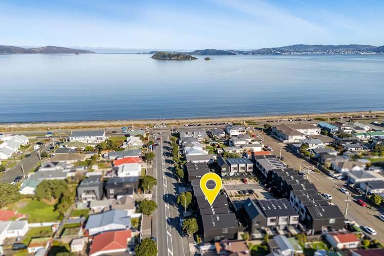 19b Cuba Street Petone_23