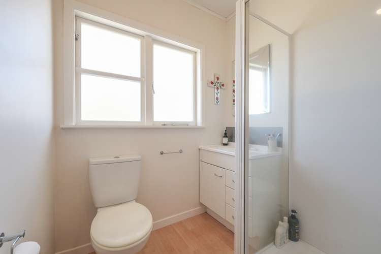 55 Miro Street New Lynn_10