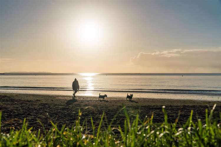 1/7 Newstead Avenue Browns Bay_26