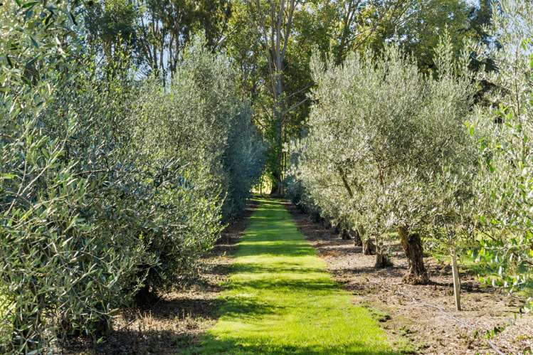 31 Rotowhenua Road Poraiti_29