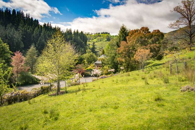 33 Enner Glynn Road Enner Glynn_5