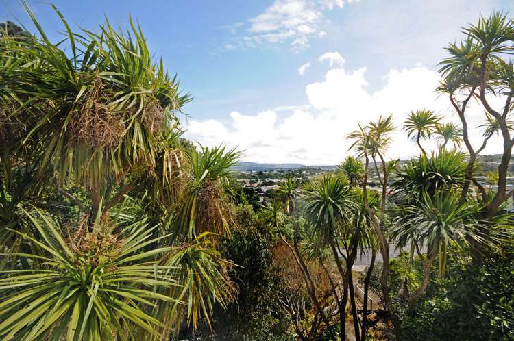 10 Awa Road Miramar_28