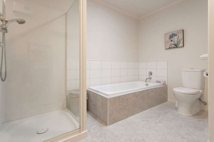 12/11 Manuka Street Matamata_7