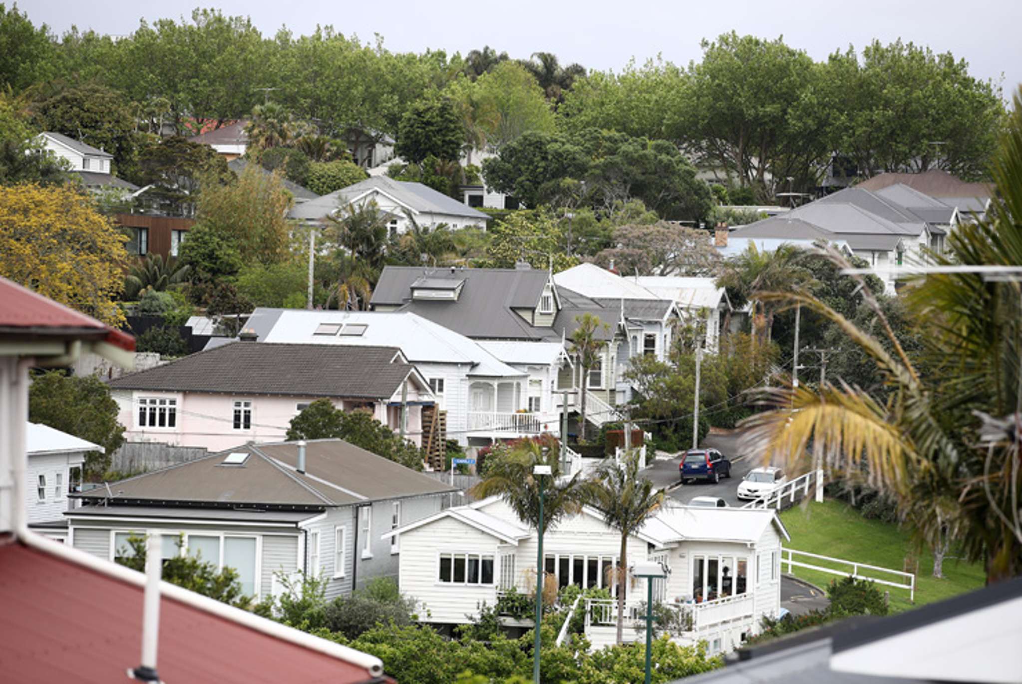 Auckland house prices have risen $74,000 during lockdown