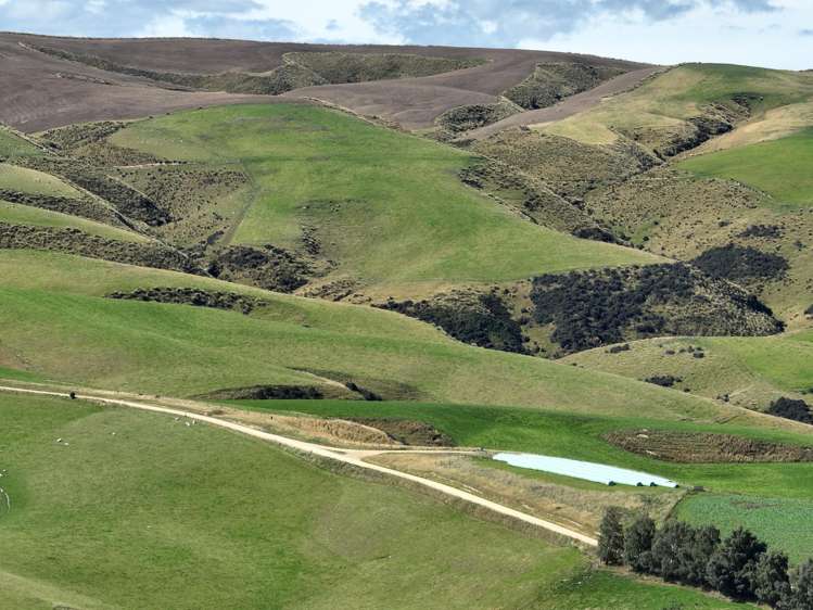 665-901 Tima Burn Road Teviot_24