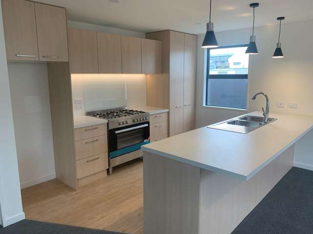 31A Gracefield Av Christchurch Central_1