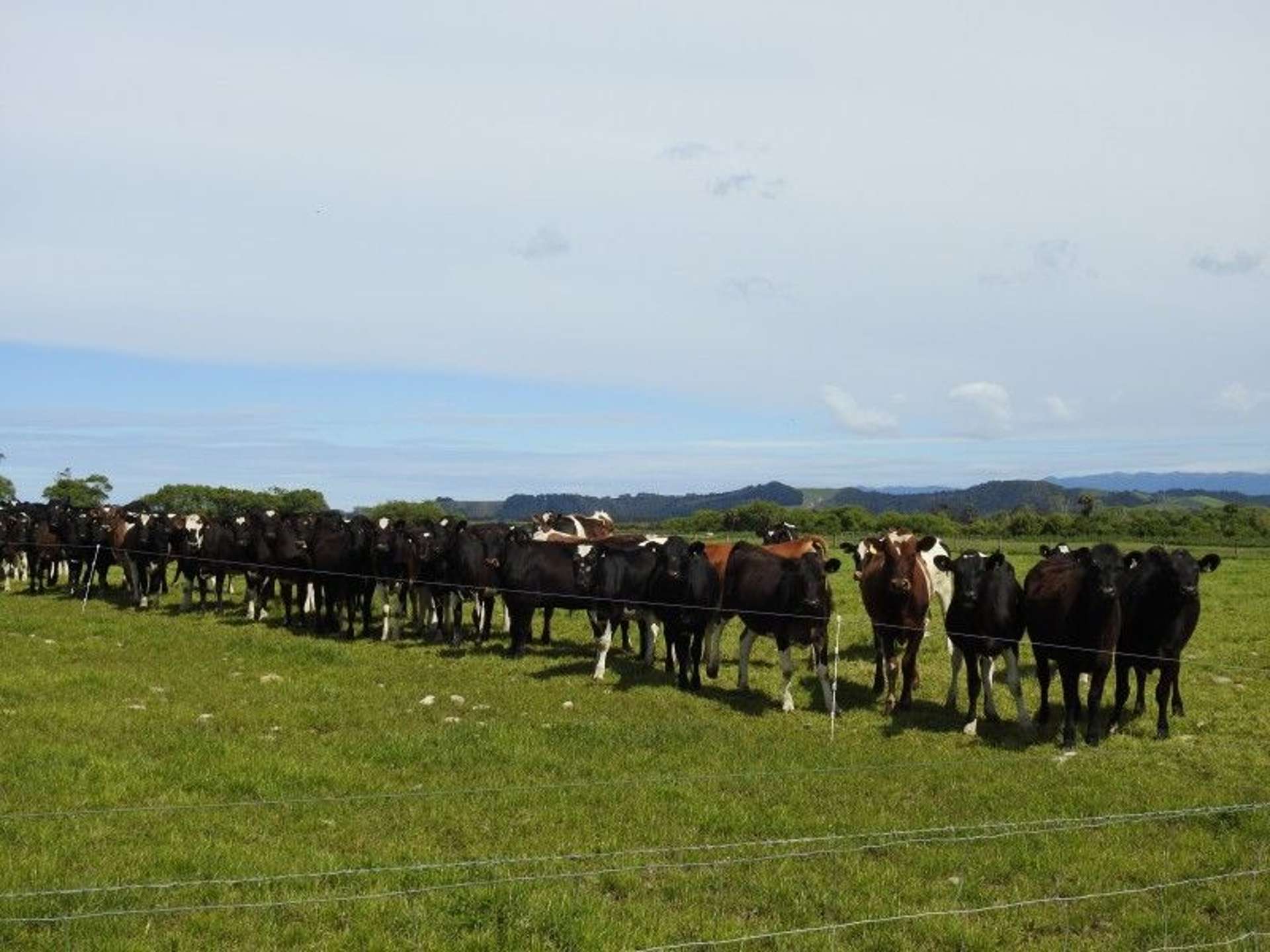 1863 Tuatapere Orepuki Highway Tuatapere_0