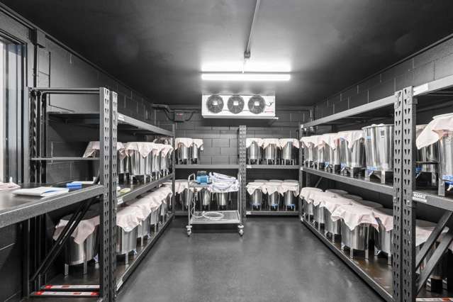 37-39 Crummer Road Grey Lynn_2