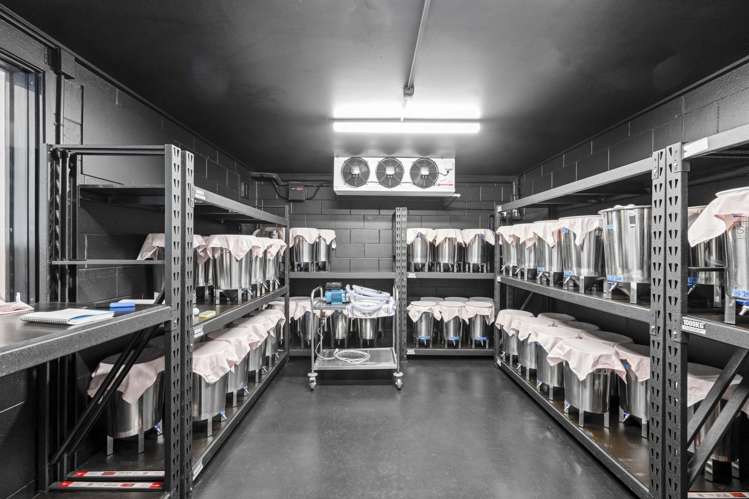37-39 Crummer Road Grey Lynn_2
