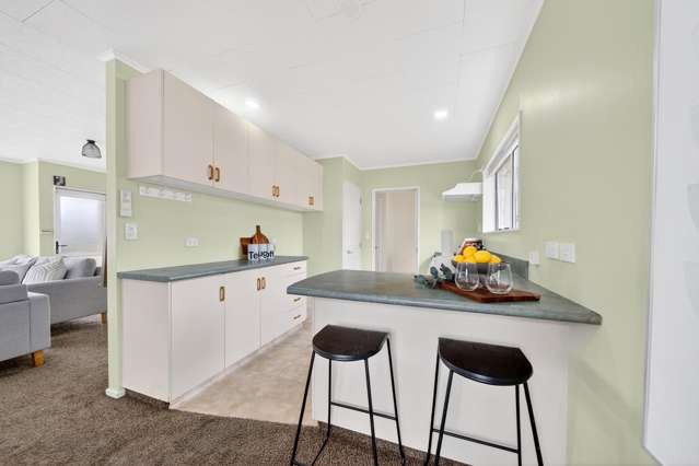 8 Hogg Crescent Masterton_1