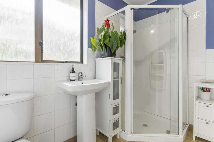 54 Woodglen Road Glen Eden_12