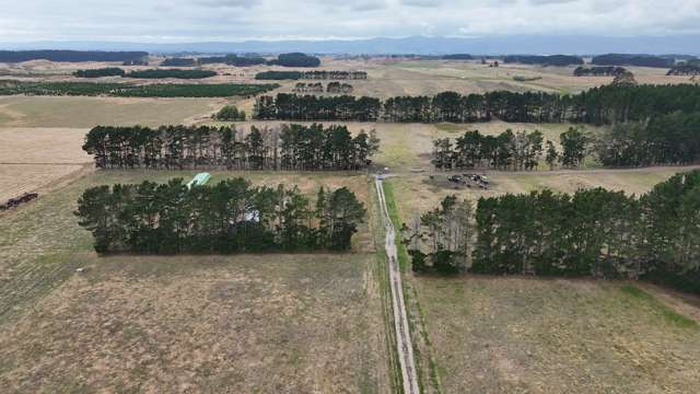 265 Paranui Road Foxton_3