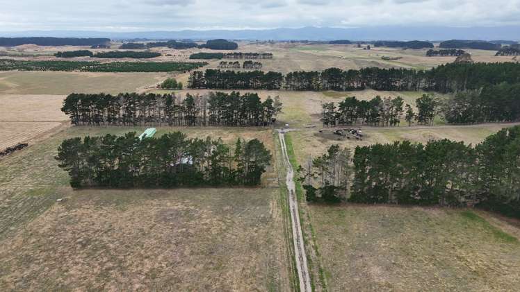 265 Paranui Road Foxton_3