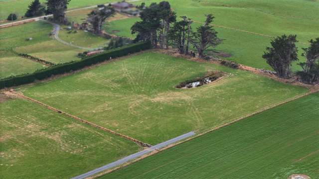 91 Boundary Road Motu Rimu_3