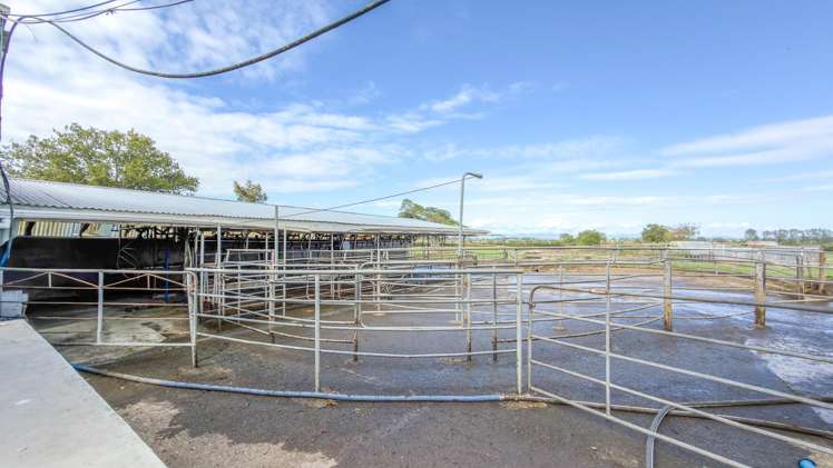 7201 State Highway 26 Paeroa_9