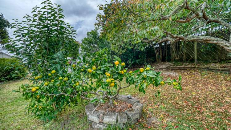 1 Dominion Road Kaitaia_22