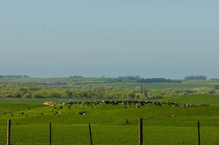 515 Kakanui Valley Road Five Forks and Surrounds_5