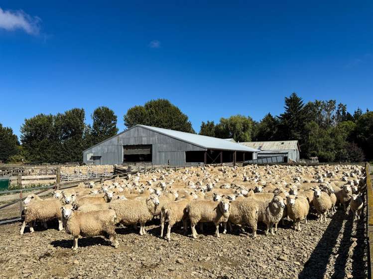 109 Affleck Road Castle Downs_8