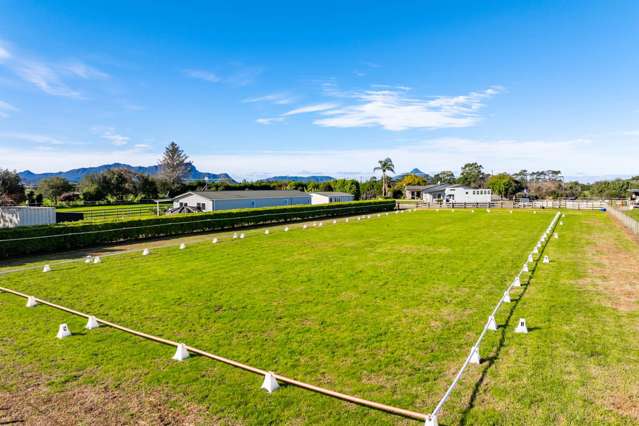 Horsing Around? Your Equestrian Dream Awaits!