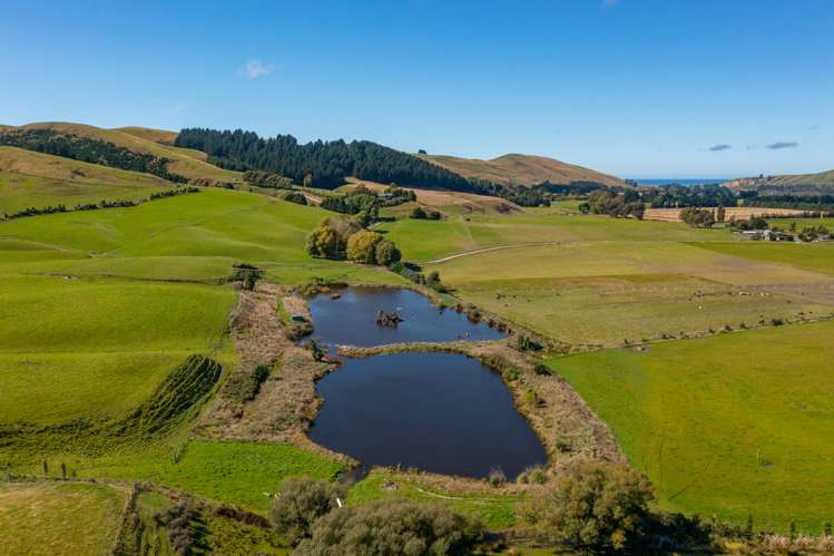 359 Hurunui Mouth Road Domett_11